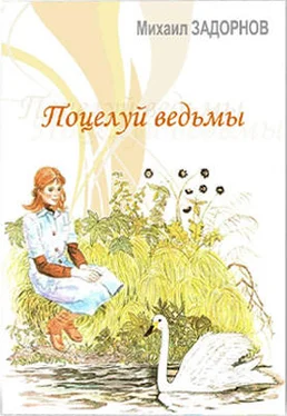 Михаил Задорнов Поцелуй ведьмы. Часть 2 обложка книги