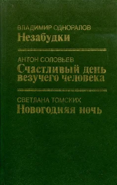 Светлана Томских Новогодняя ночь обложка книги