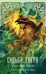 Коллин Хоук - Судьба тигра