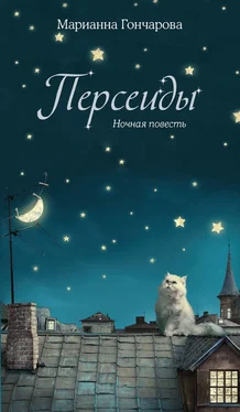 Марианна Гончарова Персеиды. Ночная повесть обложка книги