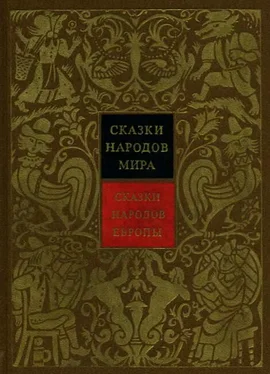 Алексей Налепин Сказки народов Европы обложка книги