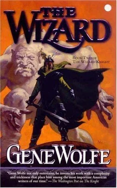 Gene Wolfe The Wizard обложка книги