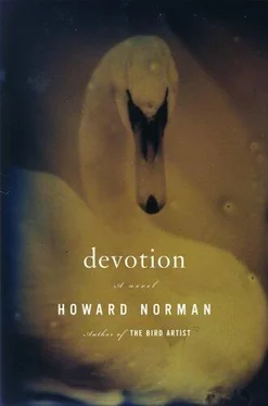 Howard Norman Devotion обложка книги