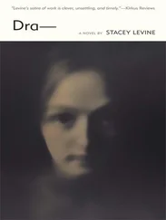 Stacey Levine - Dra-