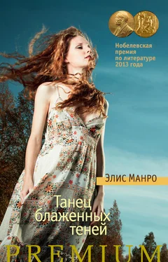 Элис Манро Танец блаженных теней (сборник) обложка книги