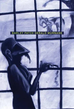 Gerald Murnane Barley Patch обложка книги