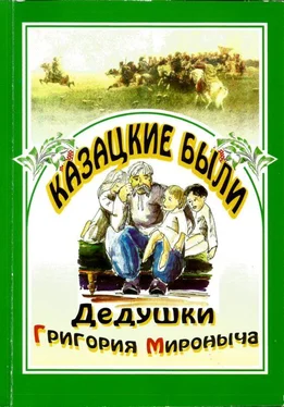 Василий Радич Казацкие были дедушки Григория Мироныча обложка книги