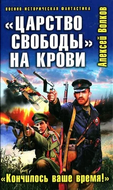 Алексей Волков «Царство свободы» на крови. «Кончилось ваше время!» обложка книги