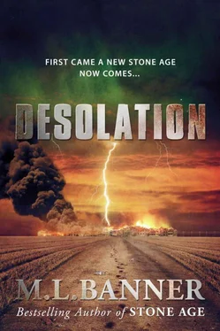 M. Banner Desolation обложка книги