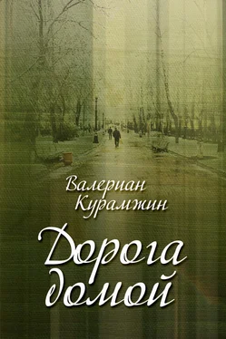 Валериан Курамжин Дорога домой (сборник) обложка книги