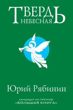 Юрий Рябинин Твердь небесная обложка книги