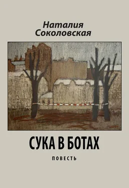 Наталия Соколовская в ботах обложка книги