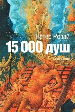 Петер Розай 15 000 душ обложка книги