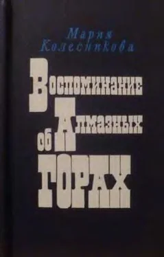 Мария Колесникова Воспоминание об Алмазных горах обложка книги