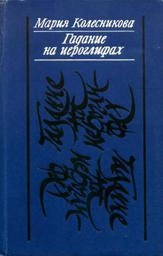 Мария Колесникова Гадание на иероглифах обложка книги