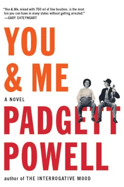 Padgett Powell You & Me обложка книги