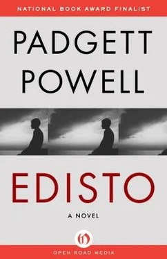 Padgett Powell Edisto обложка книги