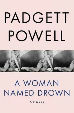 Padgett Powell A Woman Named Drown обложка книги