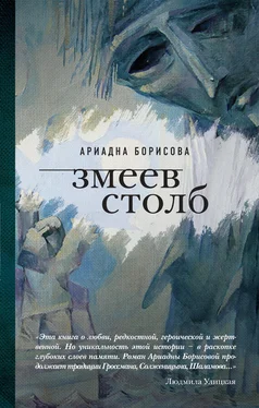 Ариадна Борисова Змеев столб обложка книги