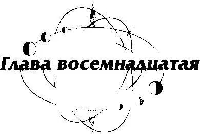 Лаборатория доктора Линна была поделена на две части В одной из них шёл весьма - фото 116