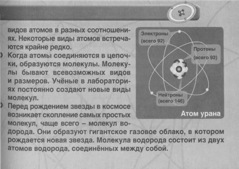 заставляет звёзды светиться Почти все элементы из которых мы с тобой состоим - фото 36