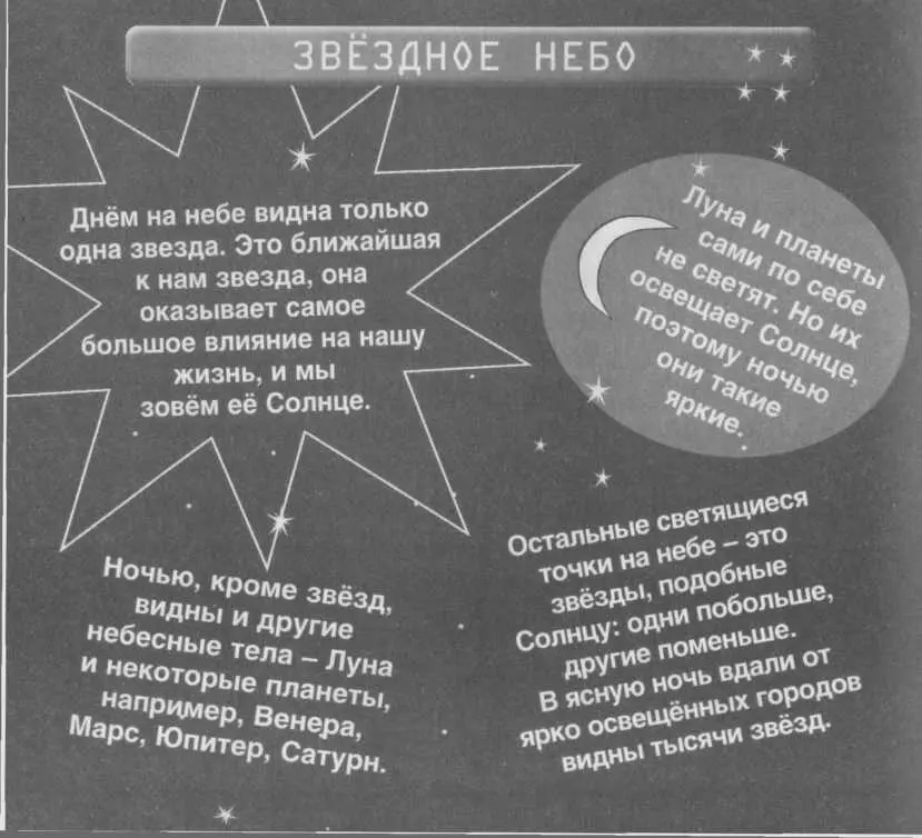 картофельная ботва Даже в мяч негде поиграть непременно угодишь в любимую - фото 7