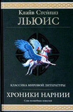 Клайв Стейплз Льюис Хроники Нарнии обложка книги