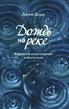 Джим Додж Дождь на реке. Избранные стихотворения и миниатюры обложка книги