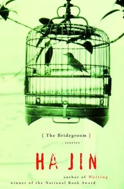 Ha Jin The Bridegroom: Stories обложка книги