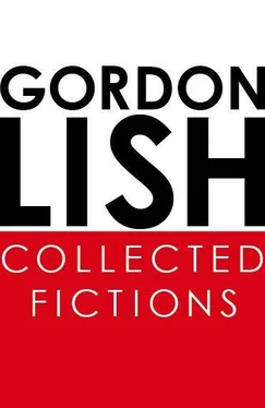 Gordon Lish Collected Fictions обложка книги