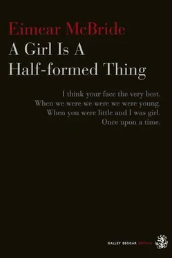 Eimear McBride A Girl Is A Half-formed Thing обложка книги