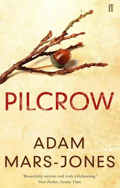 Adam Mars-Jones Pilcrow обложка книги