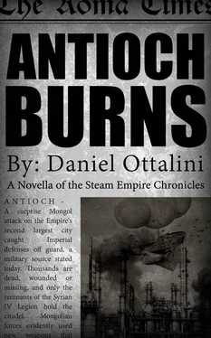 Daniel Ottalini Antioch Burns обложка книги