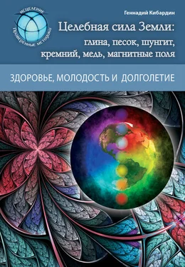 Геннадий Кибардин Целебная сила Земли: глина, песок, шунгит, кремний, медь, магнитные поля обложка книги