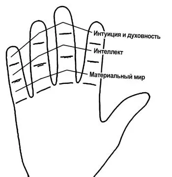 Рис 60 Фаланги и сферы деятельности человека Верхняя фаланга связана с нашей - фото 151