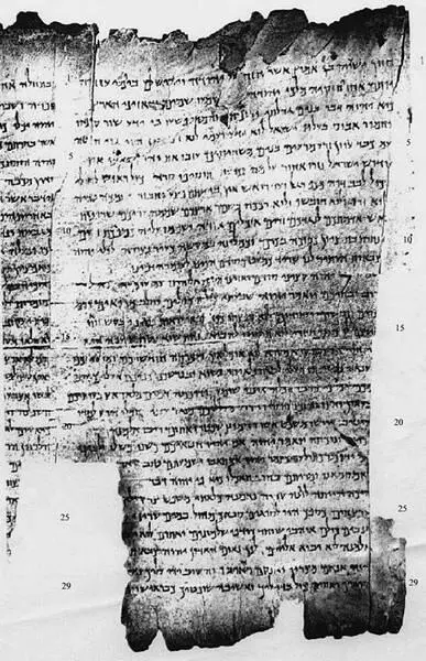 Фотокопия страницы из свитка Внимательнее присмотревшись к своим пергаментам - фото 7
