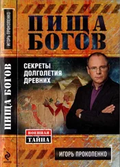 Игорь Прокопенко - Пища богов. Секреты долголетия древних