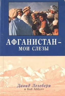 Давид Лезебери Афганистан - мои слезы обложка книги