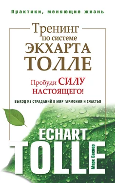 Марк Бакнер Тренинг по системе Экхарта Толле. Пробуди силу настоящего! Выход из страданий в мир гармонии и счастья обложка книги