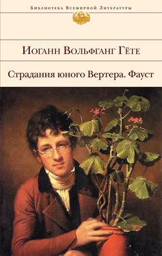 Иоганн Гете Страдания юного Вертера. Фауст (сборник) обложка книги