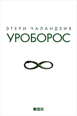 Этери Чаландзия Уроборос обложка книги
