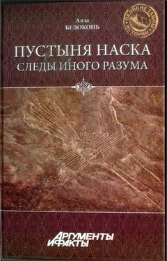 Алла Белоконь Пустыня Наска. Следы Иного Разума обложка книги