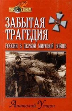 Анатолий Уткин Забытая трагедия. Россия в первой мировой войне обложка книги