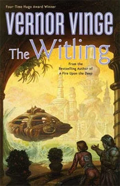 Vernor Vinge The Witling обложка книги