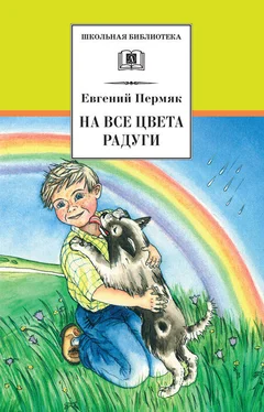 Евгений Пермяк На все цвета радуги (сборник) обложка книги