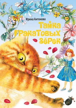 Ирина Антонова Тайна гранатовых зёрен обложка книги