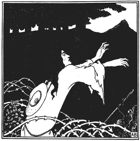 Возвращение Тангейзера на гору Венеры 1896 Прогноз оказался - фото 30