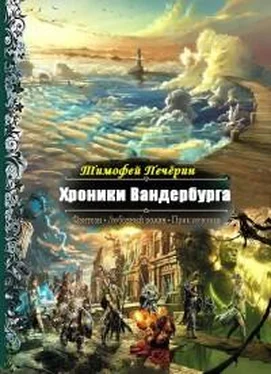 Тимофей Печёрин Хроники Вандербурга обложка книги