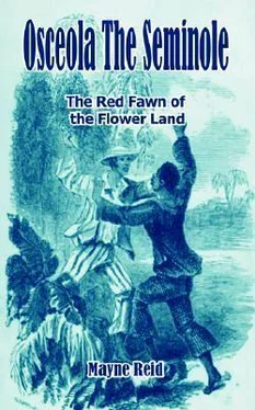 Thomas Mayne Reid Osceola the Seminole / The Red Fawn of the Flower Land обложка книги