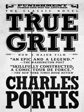 Charles Portis True Grit обложка книги